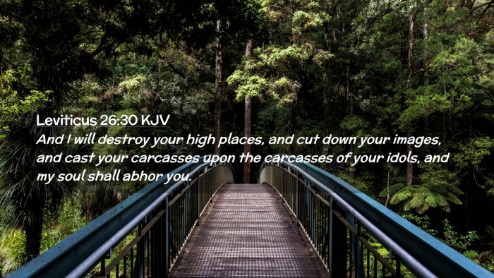 Picture 02 - Leviticus 26:30 KJV Desktop Wallpaper - And I will destroy your high places, and cut down - Desktop Bible Verse Wallpaper