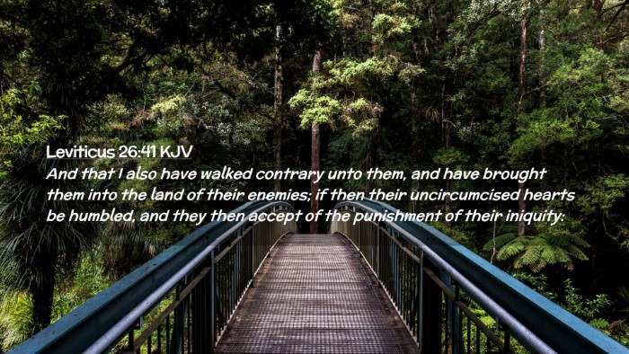 Picture 02 - Leviticus 26:41 KJV Desktop Wallpaper - And that I also have walked contrary unto them, - Desktop Bible Verse Wallpaper