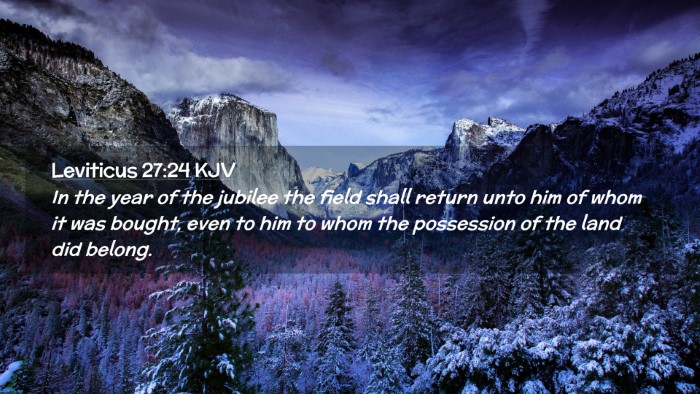 Picture 02 - Leviticus 27:24 KJV Desktop Wallpaper - In the year of the jubilee the field shall return - Desktop Bible Verse Wallpaper