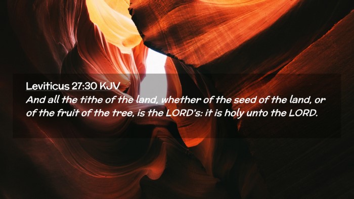 Picture 02 - Leviticus 27:30 KJV Desktop Wallpaper - And all the tithe of the land, whether of the - Desktop Bible Verse Wallpaper
