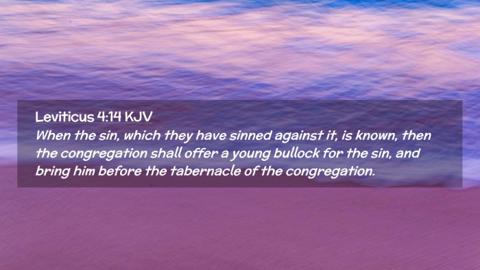 Picture 02 - Leviticus 4:14 KJV Desktop Wallpaper - When the sin, which they have sinned against it, - Desktop Bible Verse Wallpaper