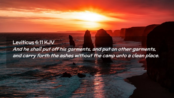 Picture 02 - Leviticus 6:11 KJV Desktop Wallpaper - And he shall put off his garments, and put on - Desktop Bible Verse Wallpaper