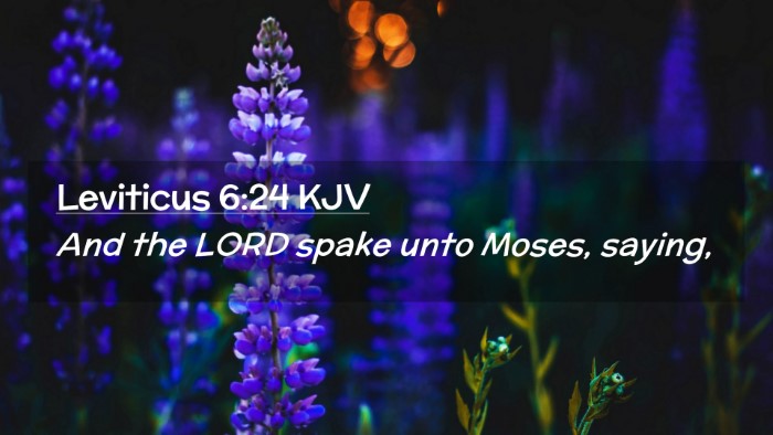 Picture 02 - Leviticus 6:24 KJV Desktop Wallpaper - And the LORD spake unto Moses, - Desktop Bible Verse Wallpaper