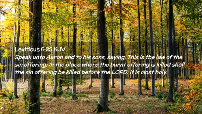Picture 02 - Leviticus 6:25 KJV Desktop Wallpaper - Speak unto Aaron and to his sons, saying, This is - Desktop Bible Verse Wallpaper