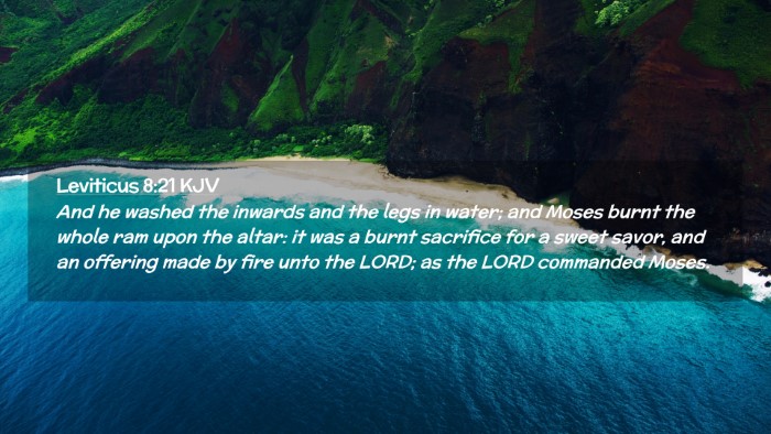 Picture 02 - Leviticus 8:21 KJV Desktop Wallpaper - And he washed the inwards and the legs in water; - Desktop Bible Verse Wallpaper