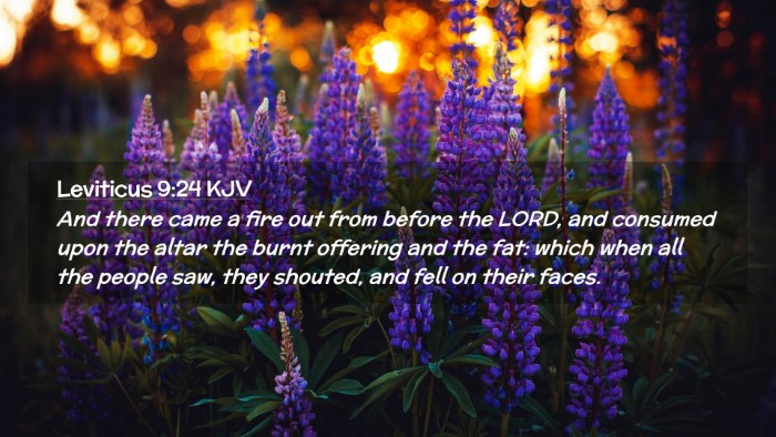 Picture 02 - Leviticus 9:24 KJV Desktop Wallpaper - And there came a fire out from before the LORD, - Desktop Bible Verse Wallpaper