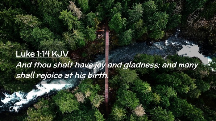 Picture 02 - Luke 1:14 KJV Desktop Wallpaper - And thou shalt have joy and gladness; and many - Desktop Bible Verse Wallpaper