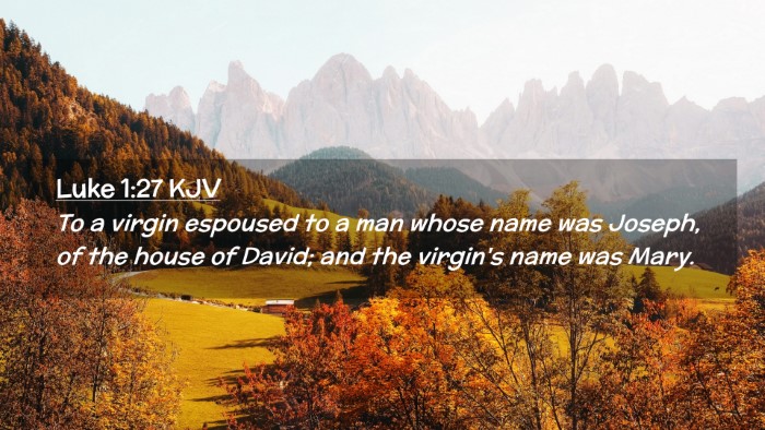 Picture 02 - Luke 1:27 KJV Desktop Wallpaper - To a virgin espoused to a man whose name was - Desktop Bible Verse Wallpaper