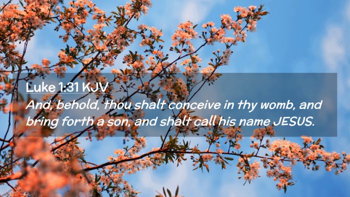 Picture 02 - Luke 1:31 KJV Desktop Wallpaper - And, behold, thou shalt conceive in thy womb, and - Desktop Bible Verse Wallpaper