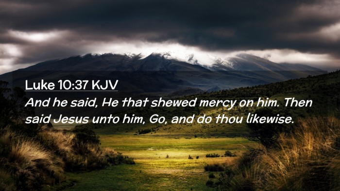 Picture 02 - Luke 10:37 KJV Desktop Wallpaper - And he said, He that shewed mercy on him. Then - Desktop Bible Verse Wallpaper