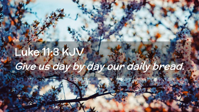 Picture 02 - Luke 11:3 KJV Desktop Wallpaper - Give us day by day our daily - Desktop Bible Verse Wallpaper