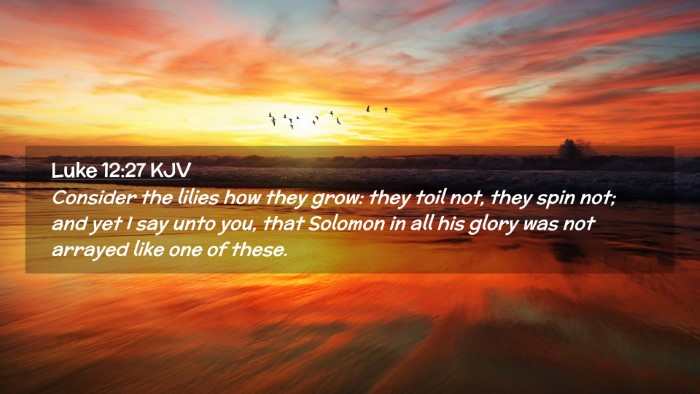Picture 02 - Luke 12:27 KJV Desktop Wallpaper - Consider the lilies how they grow: they toil not, - Desktop Bible Verse Wallpaper