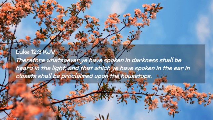 Picture 02 - Luke 12:3 KJV Desktop Wallpaper - Therefore whatsoever ye have spoken in darkness - Desktop Bible Verse Wallpaper