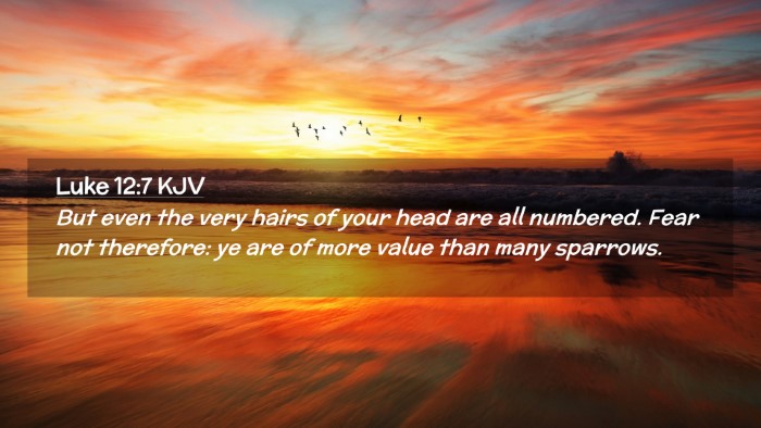 Picture 02 - Luke 12:7 KJV Desktop Wallpaper - But even the very hairs of your head are all - Desktop Bible Verse Wallpaper