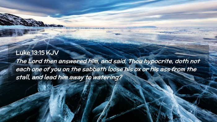 Picture 02 - Luke 13:15 KJV Desktop Wallpaper - The Lord then answered him, and said, Thou - Desktop Bible Verse Wallpaper
