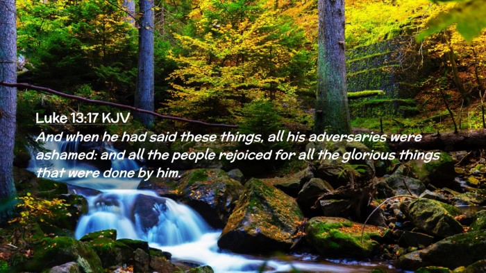 Picture 02 - Luke 13:17 KJV Desktop Wallpaper - And when he had said these things, all his - Desktop Bible Verse Wallpaper