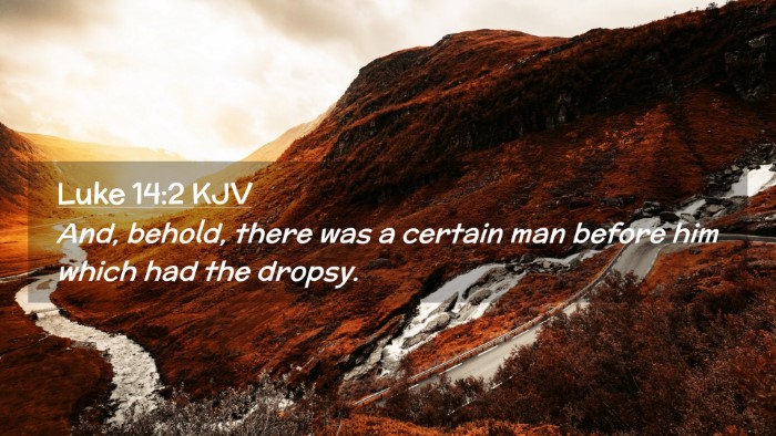 Picture 02 - Luke 14:2 KJV Desktop Wallpaper - And, behold, there was a certain man before him - Desktop Bible Verse Wallpaper