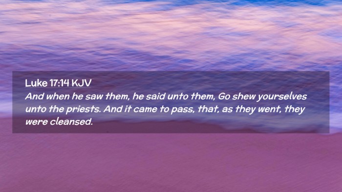 Picture 02 - Luke 17:14 KJV Desktop Wallpaper - And when he saw them, he said unto them, Go shew - Desktop Bible Verse Wallpaper