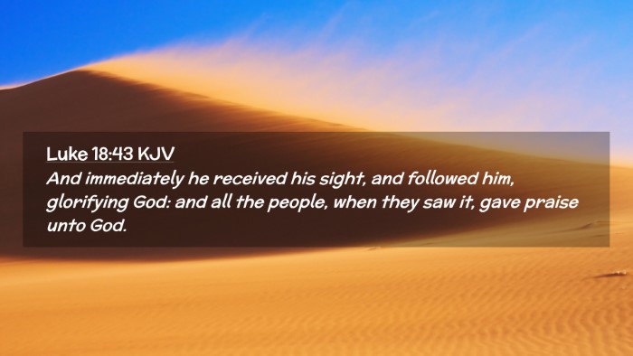 Picture 02 - Luke 18:43 KJV Desktop Wallpaper - And immediately he received his sight, and - Desktop Bible Verse Wallpaper