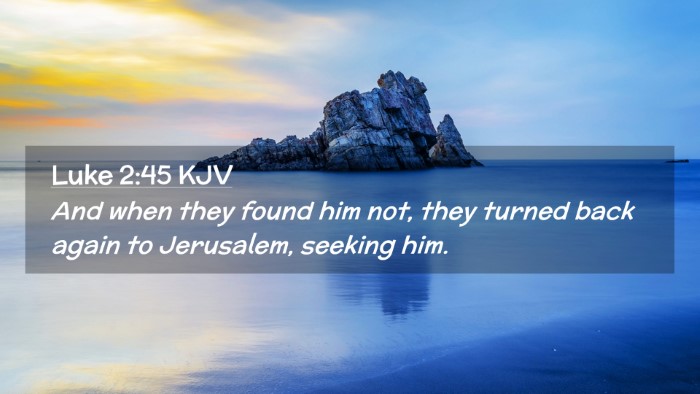 Picture 02 - Luke 2:45 KJV Desktop Wallpaper - And when they found him not, they turned back - Desktop Bible Verse Wallpaper