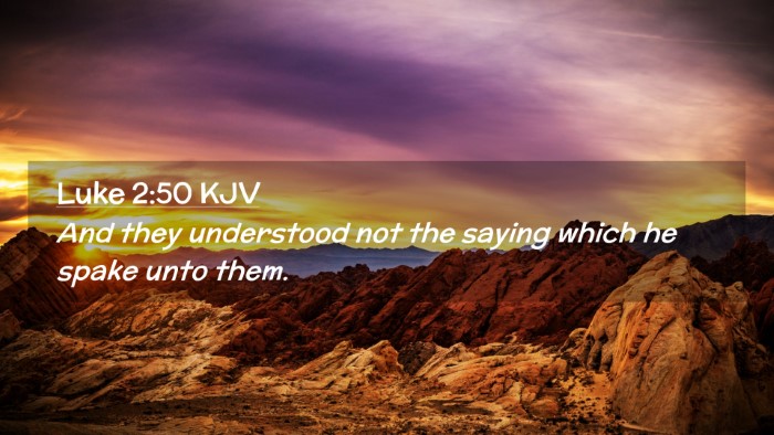 Picture 02 - Luke 2:50 KJV Desktop Wallpaper - And they understood not the saying which he spake - Desktop Bible Verse Wallpaper