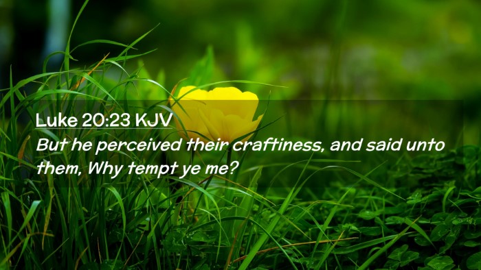Picture 02 - Luke 20:23 KJV Desktop Wallpaper - But he perceived their craftiness, and said unto - Desktop Bible Verse Wallpaper