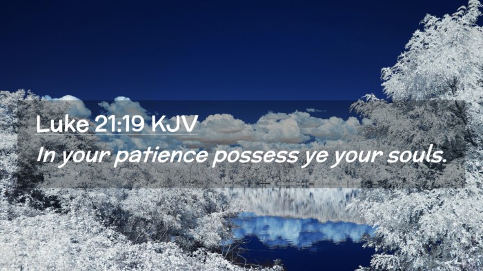 Picture 02 - Luke 21:19 KJV Desktop Wallpaper - In your patience possess ye your - Desktop Bible Verse Wallpaper