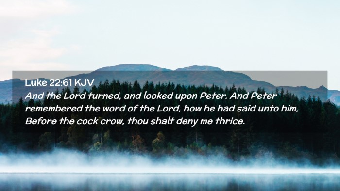 Picture 02 - Luke 22:61 KJV Desktop Wallpaper - And the Lord turned, and looked upon Peter. And - Desktop Bible Verse Wallpaper
