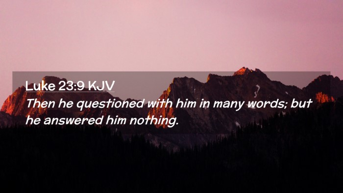 Picture 02 - Luke 23:9 KJV Desktop Wallpaper - Then he questioned with him in many words; but he - Desktop Bible Verse Wallpaper