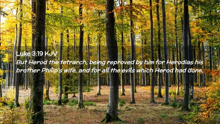 Picture 02 - Luke 3:19 KJV Desktop Wallpaper - But Herod the tetrarch, being reproved by him for - Desktop Bible Verse Wallpaper