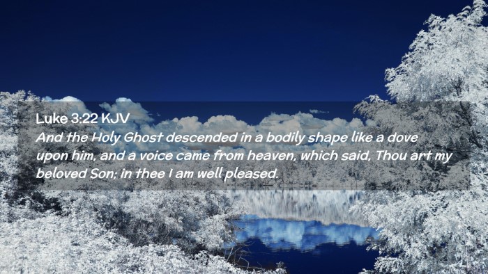 Picture 02 - Luke 3:22 KJV Desktop Wallpaper - And the Holy Ghost descended in a bodily shape - Desktop Bible Verse Wallpaper