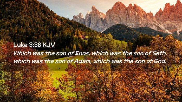 Picture 02 - Luke 3:38 KJV Desktop Wallpaper - Which was the son of Enos, which was the son of - Desktop Bible Verse Wallpaper