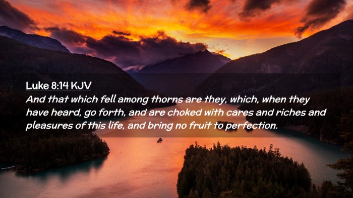 Picture 02 - Luke 8:14 KJV Desktop Wallpaper - And that which fell among thorns are they, which, - Desktop Bible Verse Wallpaper