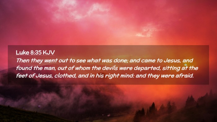 Picture 02 - Luke 8:35 KJV Desktop Wallpaper - Then they went out to see what was done; and came - Desktop Bible Verse Wallpaper