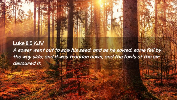 Picture 02 - Luke 8:5 KJV Desktop Wallpaper - A sower went out to sow his seed: and as he - Desktop Bible Verse Wallpaper
