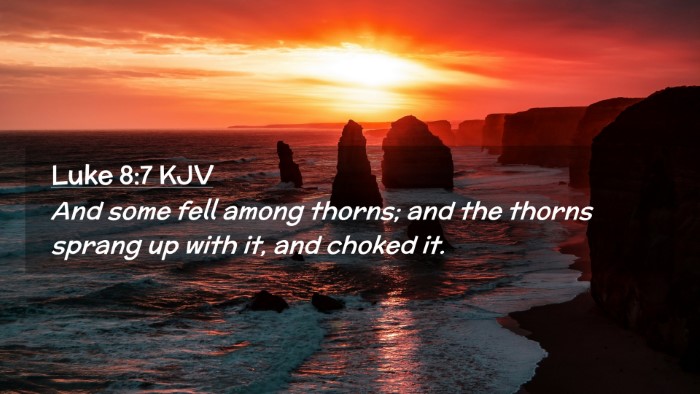 Picture 02 - Luke 8:7 KJV Desktop Wallpaper - And some fell among thorns; and the thorns sprang - Desktop Bible Verse Wallpaper