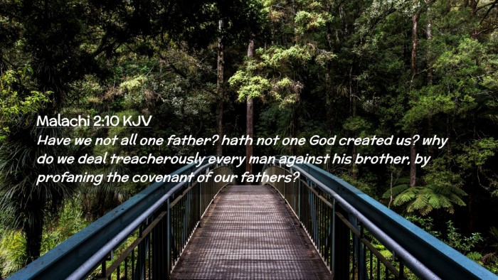 Picture 02 - Malachi 2:10 KJV Desktop Wallpaper - Have we not all one father? hath not one God - Desktop Bible Verse Wallpaper