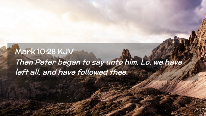 Picture 02 - Mark 10:28 KJV Desktop Wallpaper - Then Peter began to say unto him, Lo, we have - Desktop Bible Verse Wallpaper