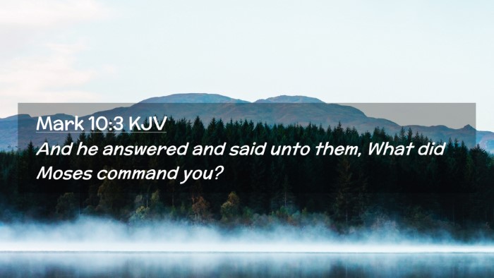 Picture 02 - Mark 10:3 KJV Desktop Wallpaper - And he answered and said unto them, What did - Desktop Bible Verse Wallpaper