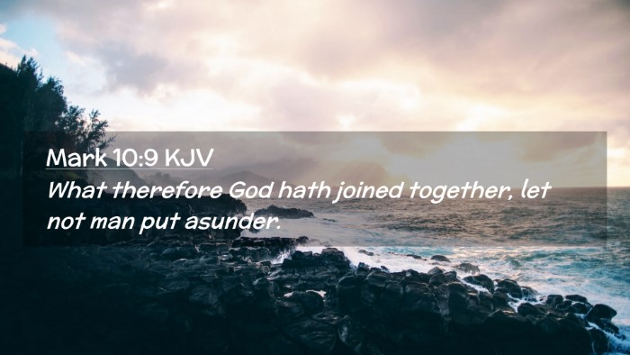 Picture 02 - Mark 10:9 KJV Desktop Wallpaper - What therefore God hath joined together, let not - Desktop Bible Verse Wallpaper