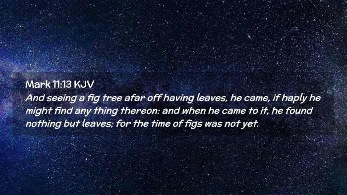 Picture 02 - Mark 11:13 KJV Desktop Wallpaper - And seeing a fig tree afar off having leaves, he - Desktop Bible Verse Wallpaper