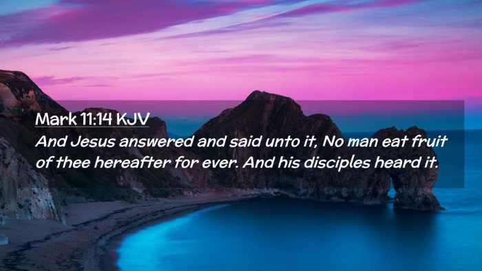 Picture 02 - Mark 11:14 KJV Desktop Wallpaper - And Jesus answered and said unto it, No man eat - Desktop Bible Verse Wallpaper