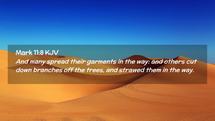 Picture 02 - Mark 11:8 KJV Desktop Wallpaper - And many spread their garments in the way: and - Desktop Bible Verse Wallpaper