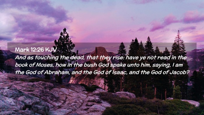 Picture 02 - Mark 12:26 KJV Desktop Wallpaper - And as touching the dead, that they rise: have ye - Desktop Bible Verse Wallpaper
