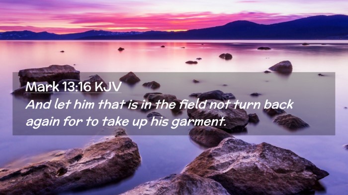 Picture 02 - Mark 13:16 KJV Desktop Wallpaper - And let him that is in the field not turn back - Desktop Bible Verse Wallpaper