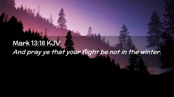 Picture 02 - Mark 13:18 KJV Desktop Wallpaper - And pray ye that your flight be not in the - Desktop Bible Verse Wallpaper