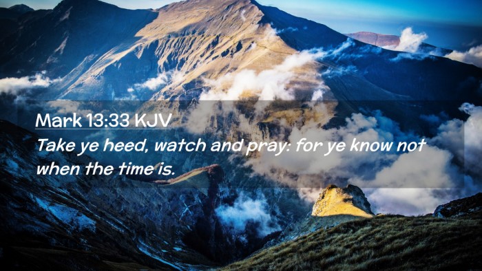 Picture 02 - Mark 13:33 KJV Desktop Wallpaper - Take ye heed, watch and pray: for ye know not - Desktop Bible Verse Wallpaper