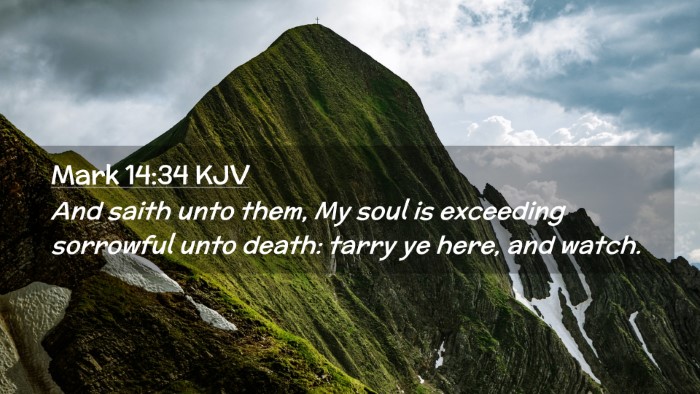 Picture 02 - Mark 14:34 KJV Desktop Wallpaper - And saith unto them, My soul is exceeding - Desktop Bible Verse Wallpaper