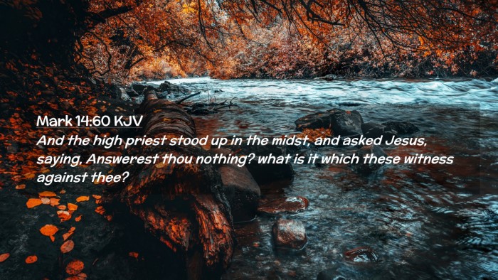 Picture 02 - Mark 14:60 KJV Desktop Wallpaper - And the high priest stood up in the midst, and - Desktop Bible Verse Wallpaper