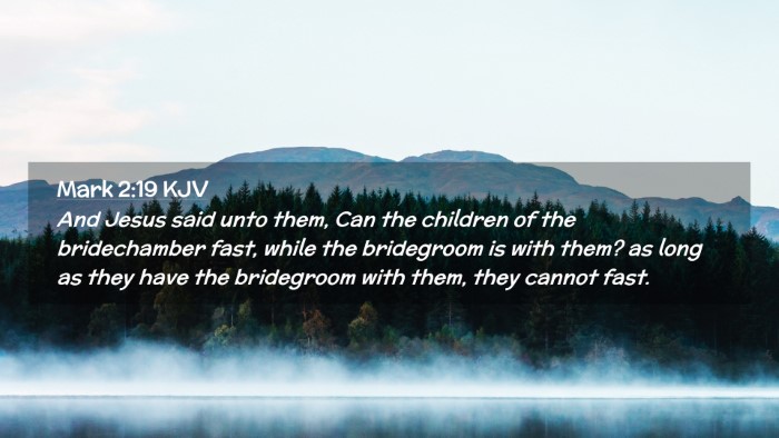 Picture 02 - Mark 2:19 KJV Desktop Wallpaper - And Jesus said unto them, Can the children of the - Desktop Bible Verse Wallpaper